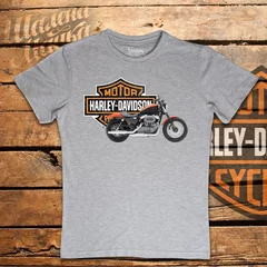 Harley Davidson, moto, bike, biker, мото, байк